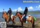 A couple of people riding on the backs of horses on a beach.